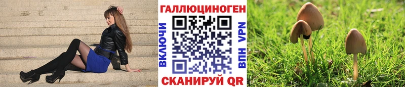 где можно купить   Фурманов  Галлюциногенные грибы прущие грибы 